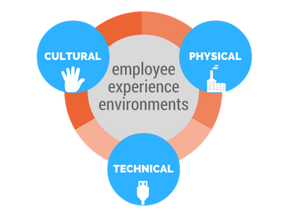 Employee Experience First